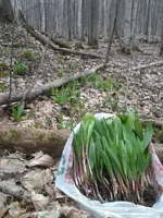 2014-04-26 16.10.42.webp