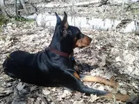 2014-04-27 14.04.31.webp