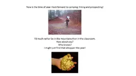 Slide13.webp Slide13.webp