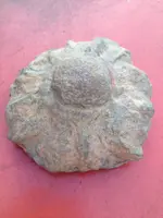 artifact.webp