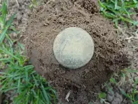 1917 penny smaller.webp