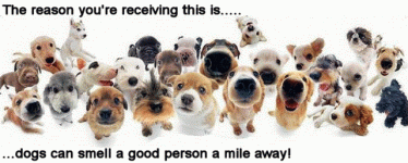 dogs-can-smell-a-good-person-a-mile-away.gif