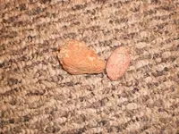 P3232370.webp