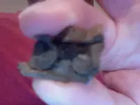 Photo on 2014-04-21 at 02.08 #3.webp