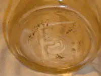 DUG MILK 2.webp