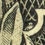 Dollar_Spinne.webp