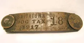 dogtag.webp