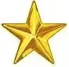 Gold Star.webp