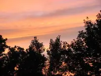 Sunset 1.webp