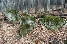 Odd Rocks.webp