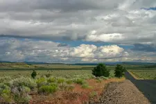 desert 6 - 29 - 7 0149_RT8.webp