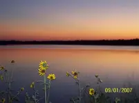 100_1047 (Small).webp
