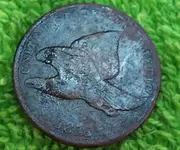 1858 flying eagle obv.webp