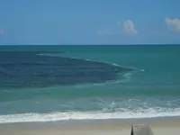 sebastian tidal flow1.webp