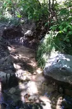 image.webp