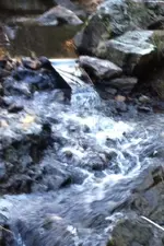 image.webp