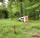 bobcat1.webp