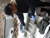 DSCF0229.webp