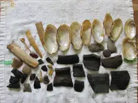 IMG_0170.webp IMG_0170.webp