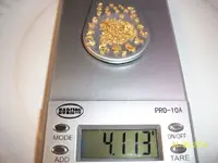 Gold5-31-14  4.1grams (3).webp