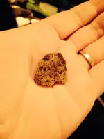 image.webp
