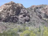 DSCN0684.webp