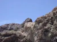 DSCN0700.webp