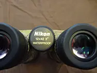nikond.webp