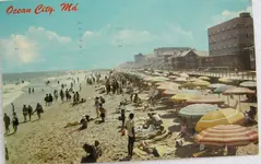 OBN0261.webp