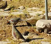RSCN1321.webp RSCN1321.webp