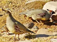 RSCN1322.webp RSCN1322.webp