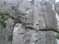 14.webp