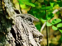 DSCN3524.webp