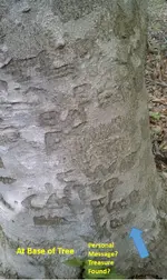 Sign Tree (2).webp Sign Tree (2).webp