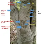 Sign Tree (7).webp Sign Tree (7).webp