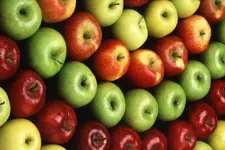 BIO-ONE-apples.webp