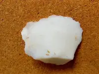 RSCN8276.webp