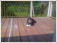IMG-20140519-04122.webp