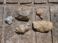 DSCN1183.webp