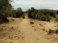 hike 1.webp