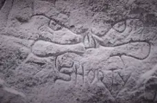 shorty 600.webp