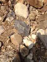 image-1851173971.webp