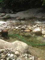 image-537888613.webp