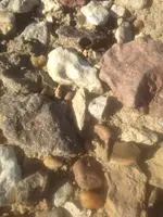 image-3590886742.webp