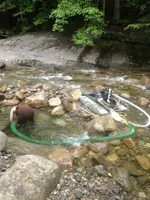 image-3709352313.webp
