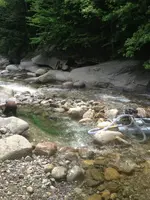 image-2114975572.webp