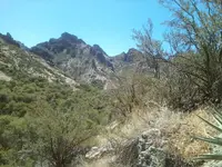 Mina Virgon path.webp