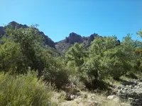 Path to mine.webp