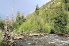6-23c.webp