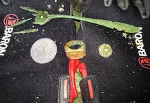 20140516_180424.webp